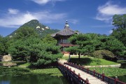 世界举重联赛：训练量化与恢复监测并行提高成绩重复性，2021年世界举重比赛视频